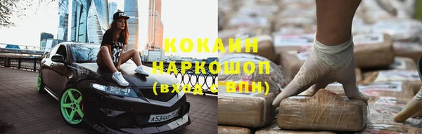 стаф Алзамай