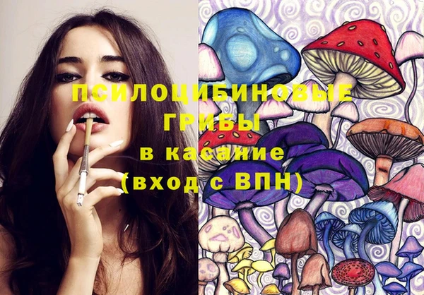дурь Алексин